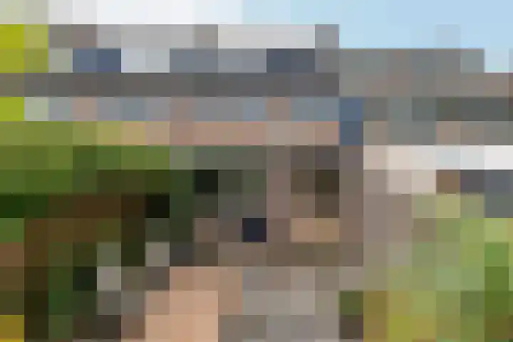 Patrijslaan 112 Dieren thumbnail 34