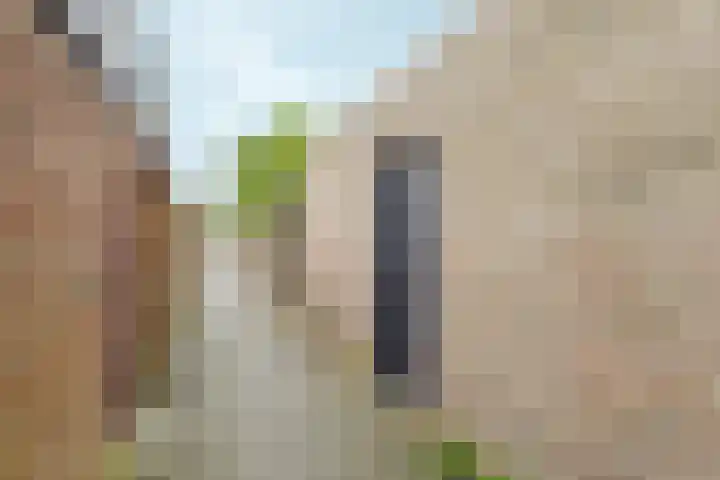 Patrijslaan 112 Dieren thumbnail 35