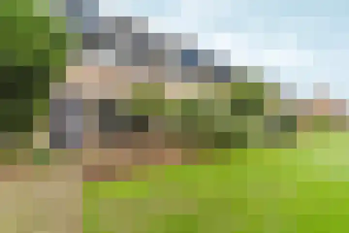 Patrijslaan 112 Dieren thumbnail 37