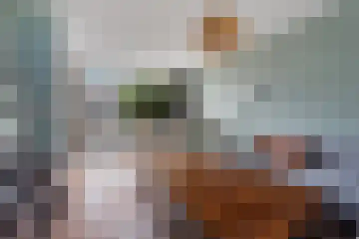 Patrijslaan 112 Dieren thumbnail 6