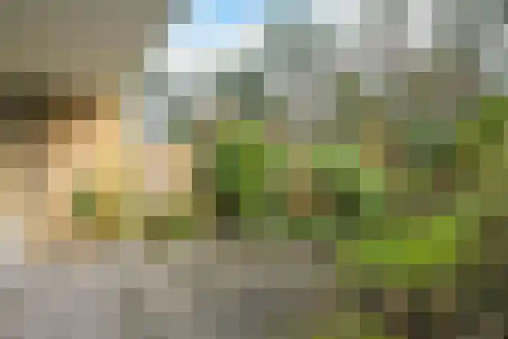 Patrijslaan 133 Leidschendam thumbnail 20