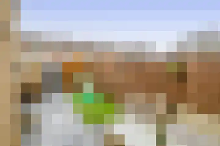 Patrijslaan 14 Honselersdijk thumbnail 17