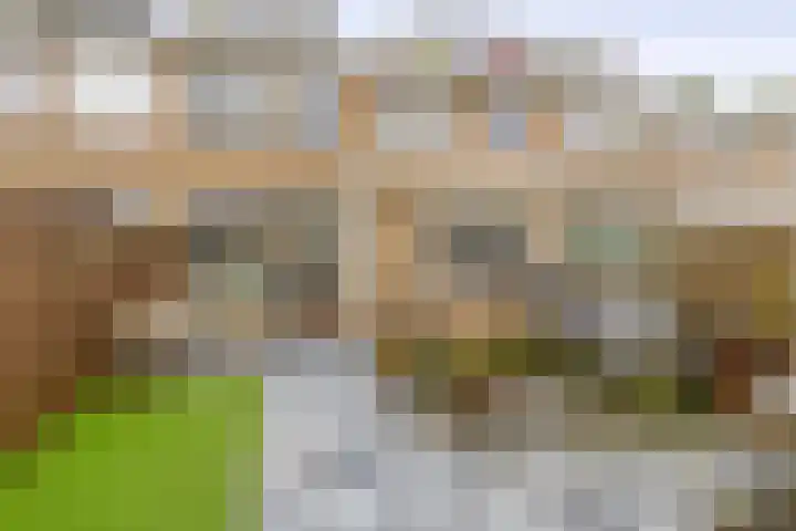 Patrijslaan 14 Honselersdijk thumbnail 18