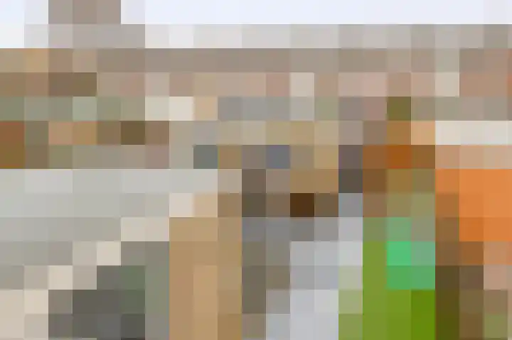 Patrijslaan 14 Honselersdijk thumbnail 21