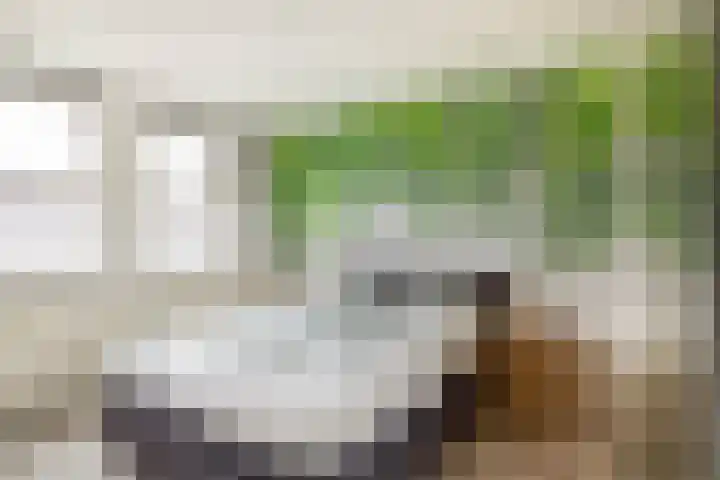 Patrijslaan 14 Honselersdijk thumbnail 24