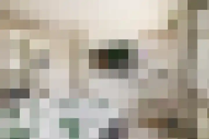 Patrijslaan 14 Honselersdijk thumbnail 25