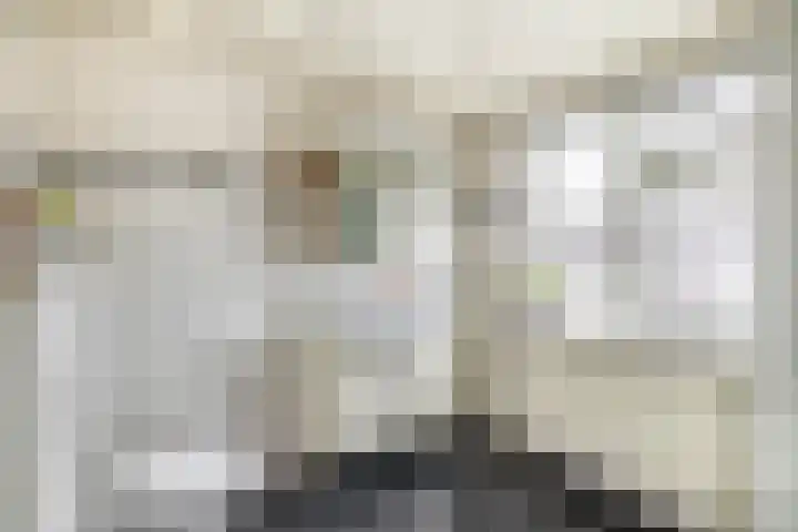 Patrijslaan 14 Honselersdijk thumbnail 28
