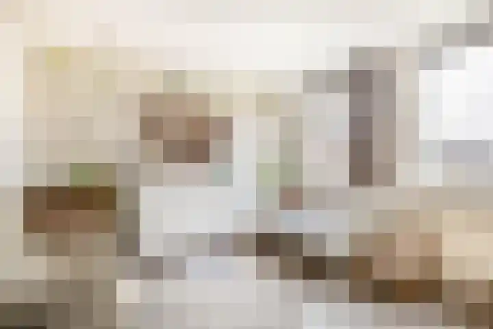 Patrijslaan 14 Honselersdijk thumbnail 31