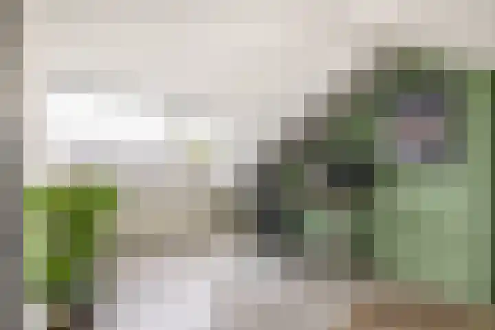 Patrijslaan 14 Honselersdijk thumbnail 33
