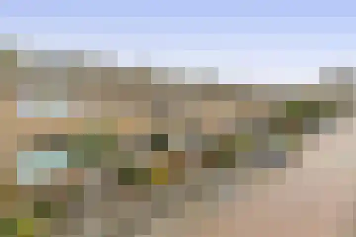 Patrijslaan 14 Honselersdijk thumbnail 37