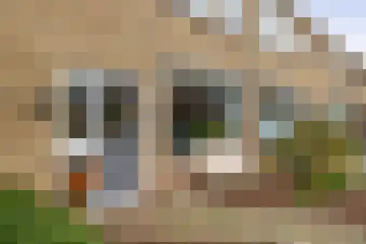 Patrijslaan 14 Honselersdijk thumbnail 4