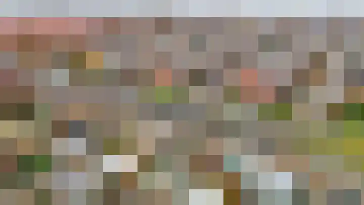 Patrijslaan 14 Honselersdijk thumbnail 43