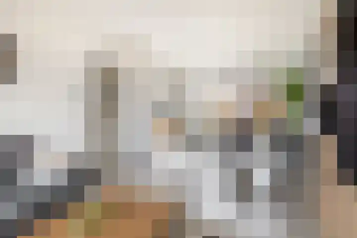 Patrijslaan 14 Honselersdijk thumbnail 8