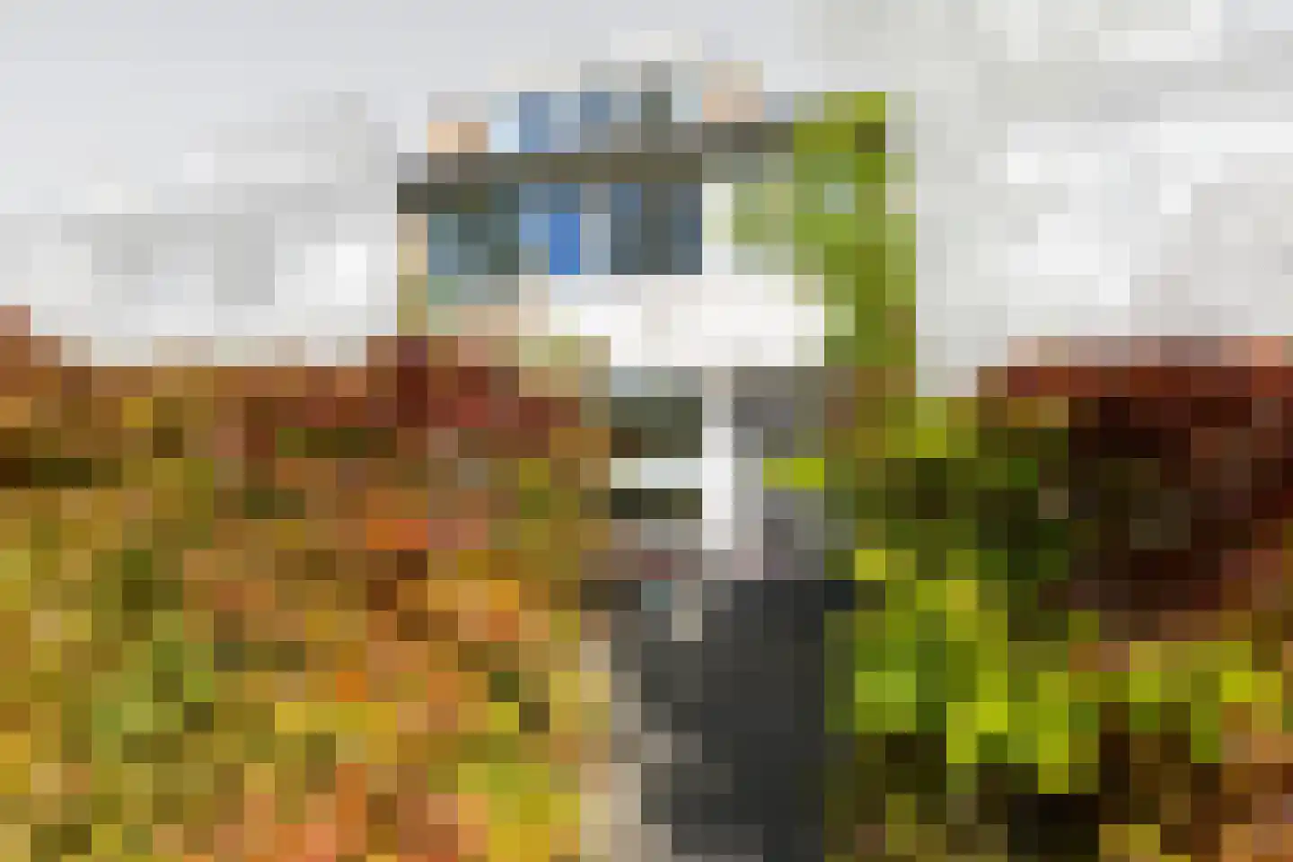 Patrijslaan 16 Leidschendam thumbnail 5