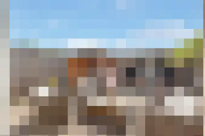 Patrijslaan 19 Maartensdijk thumbnail 18