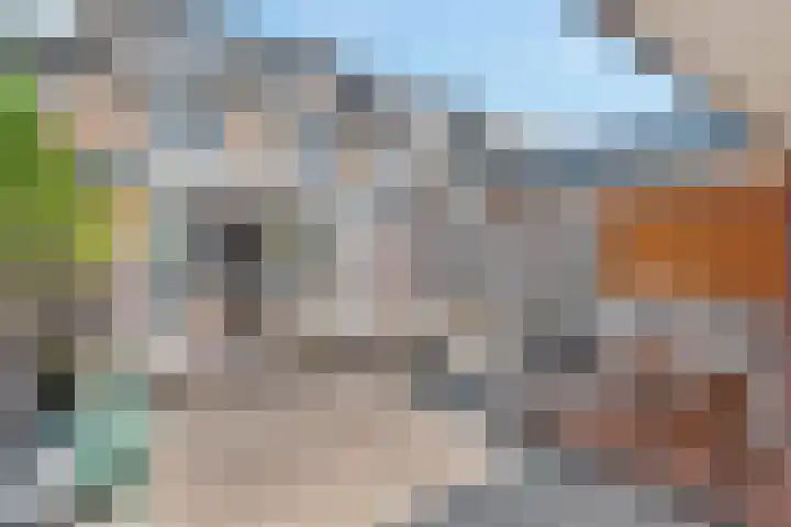 Patrijslaan 19 Maartensdijk thumbnail 19