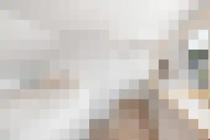 Patrijslaan 19 Maartensdijk thumbnail 30
