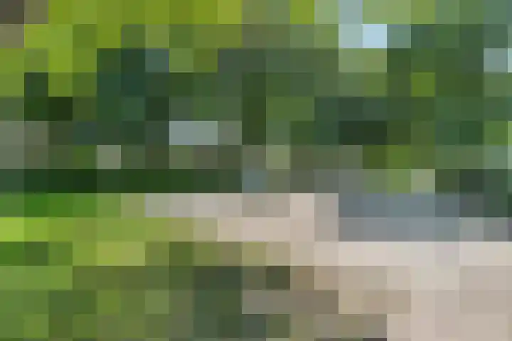 Patrijslaan 19 Maartensdijk thumbnail 34