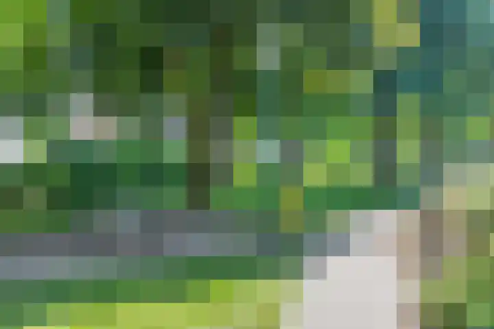 Patrijslaan 19 Maartensdijk thumbnail 35