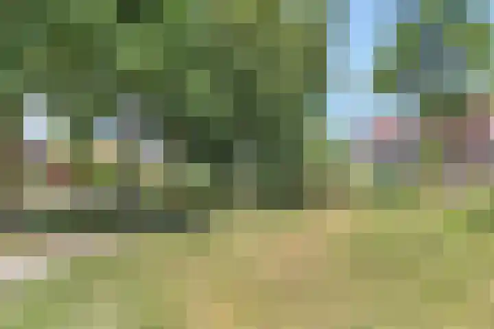 Patrijslaan 19 Maartensdijk thumbnail 36