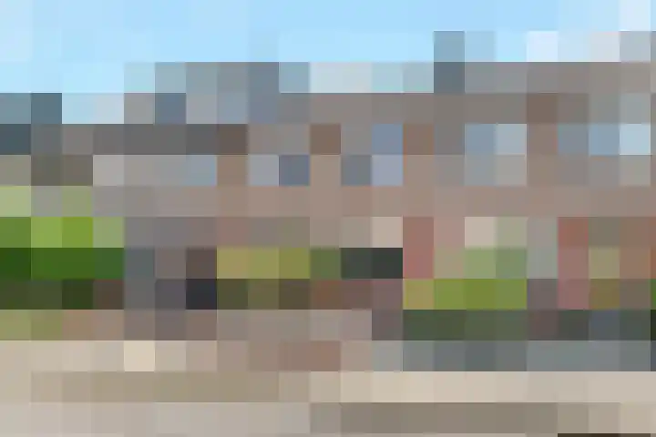 Patrijslaan 19 Maartensdijk thumbnail 4