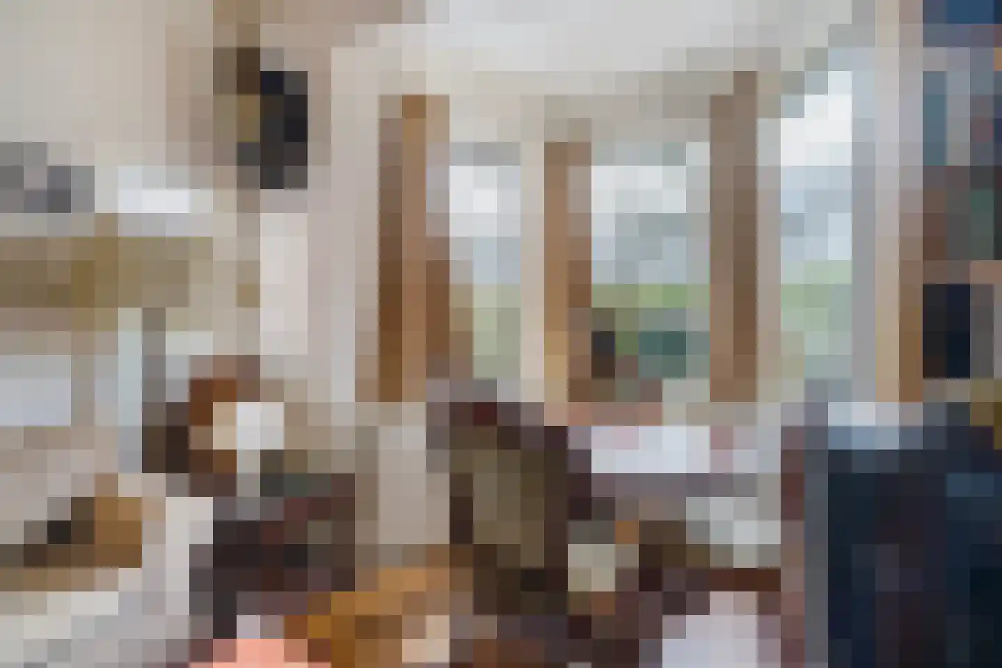 Patrijslaan 2 Den Haag thumbnail 12