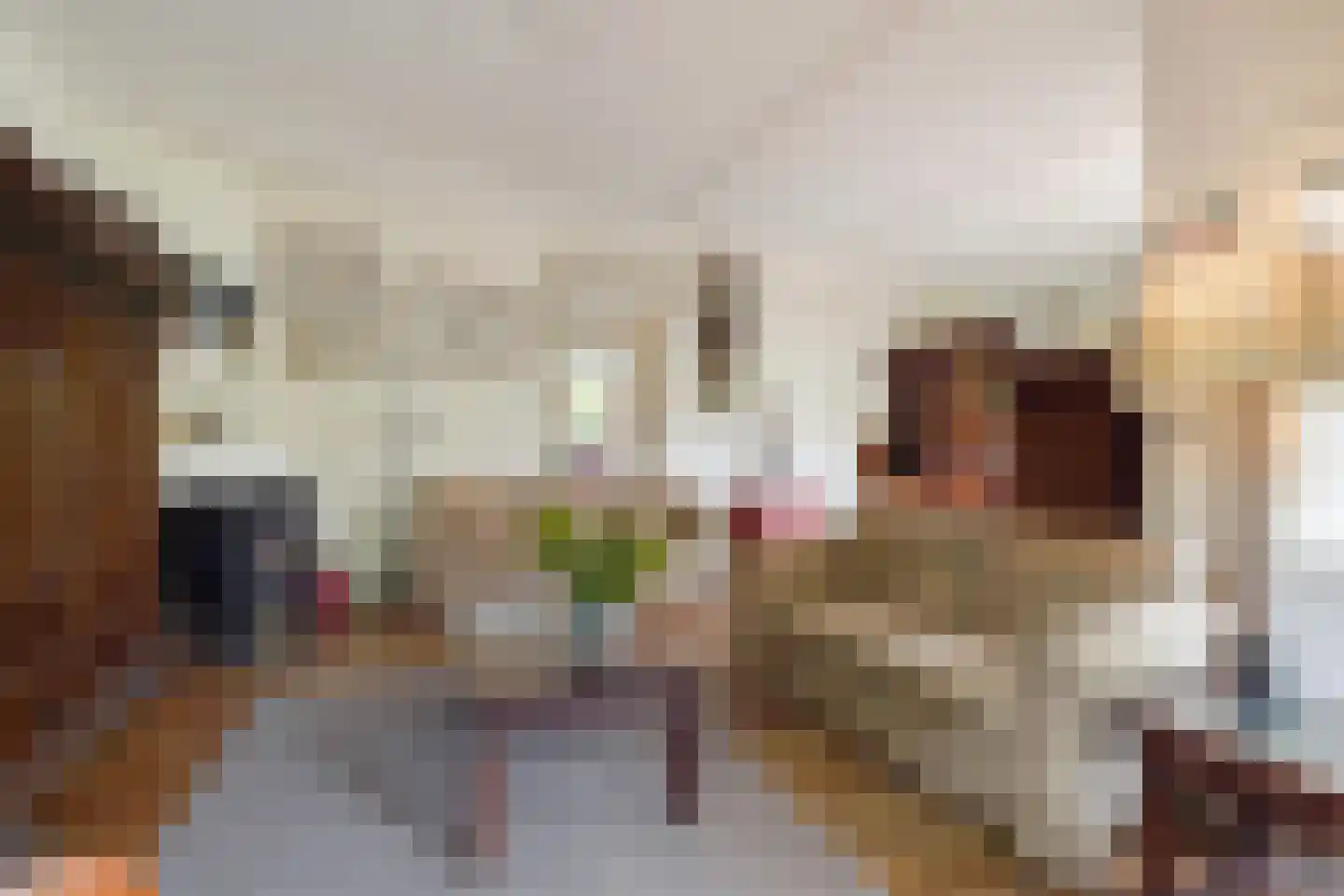 Patrijslaan 2 Den Haag thumbnail 15
