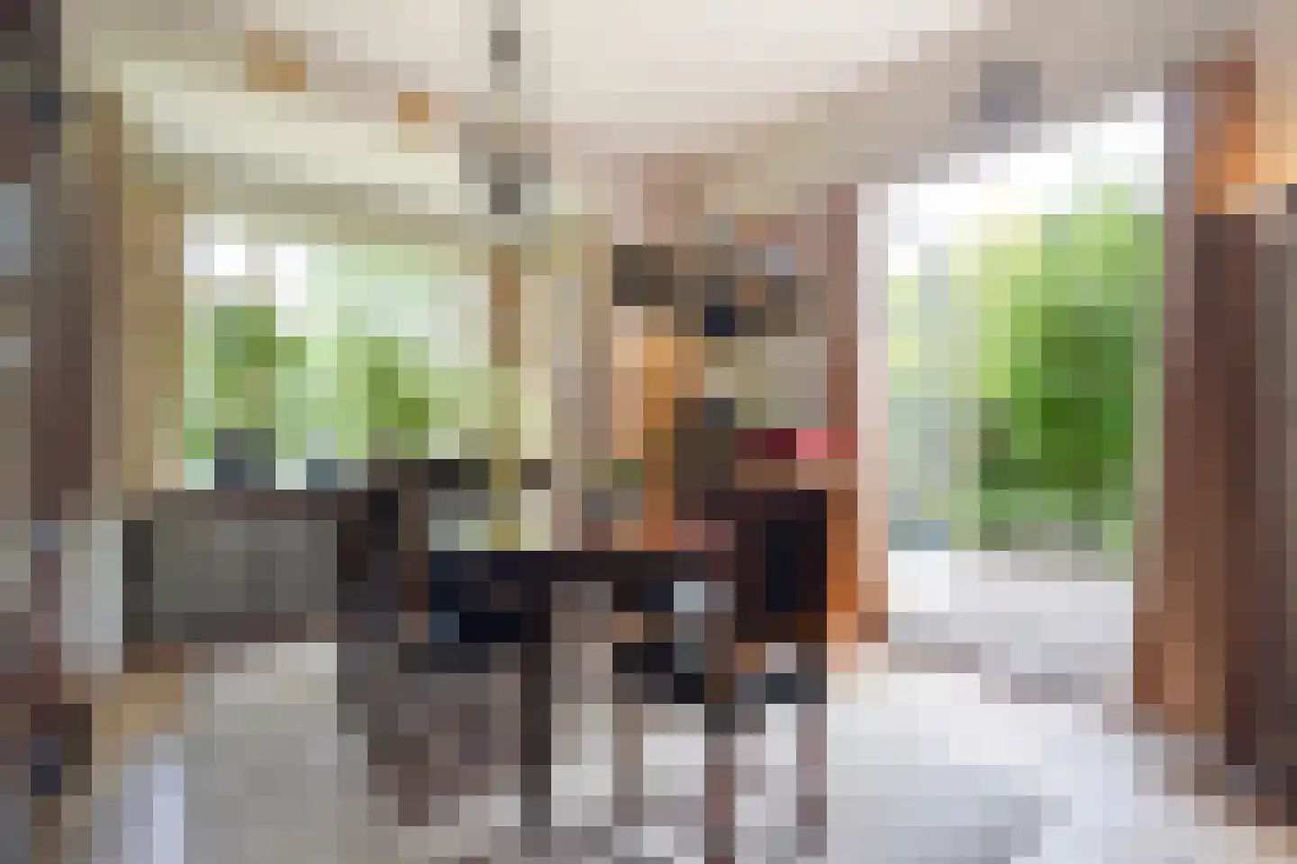 Patrijslaan 2 Den Haag thumbnail 18