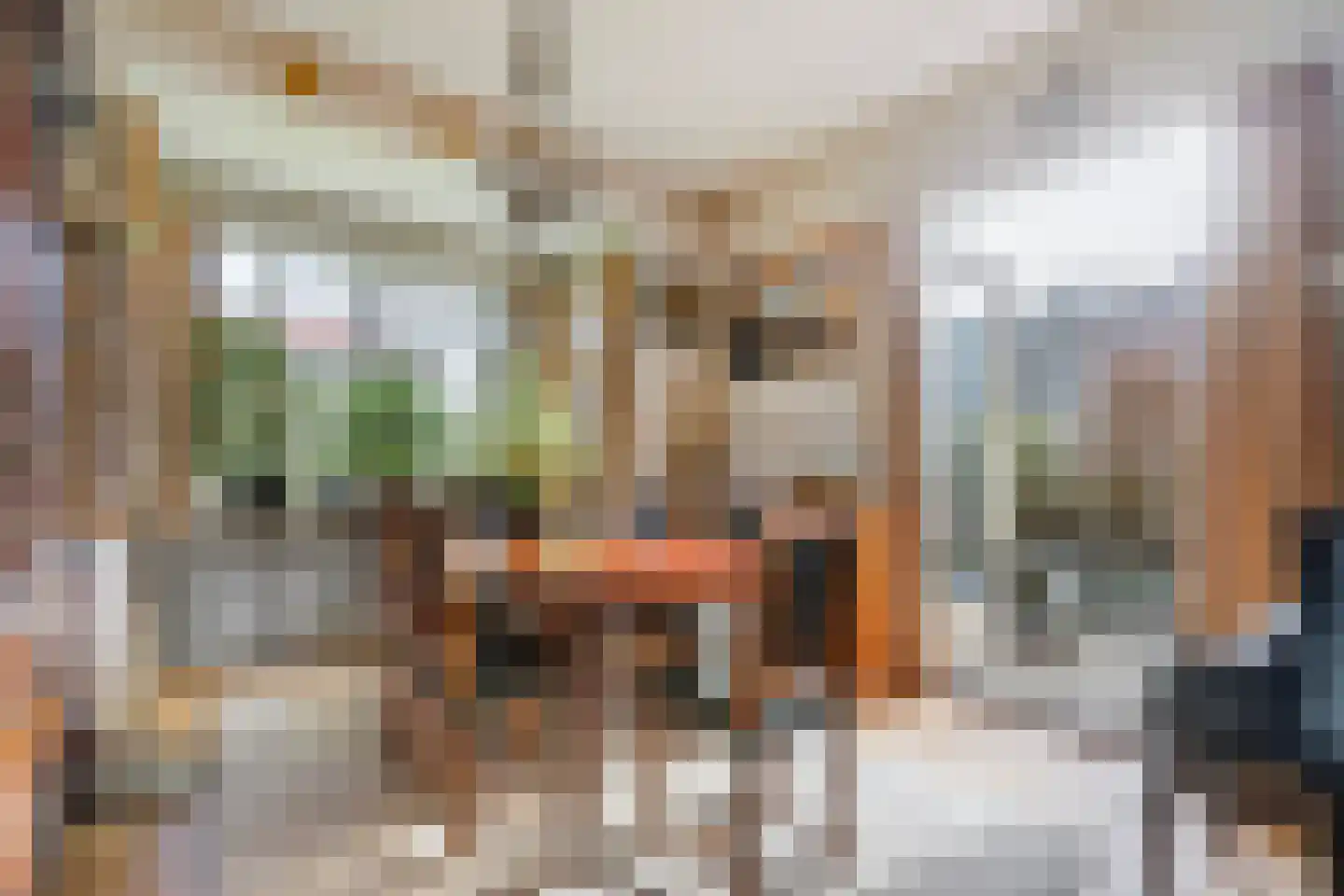 Patrijslaan 2 Den Haag thumbnail 18