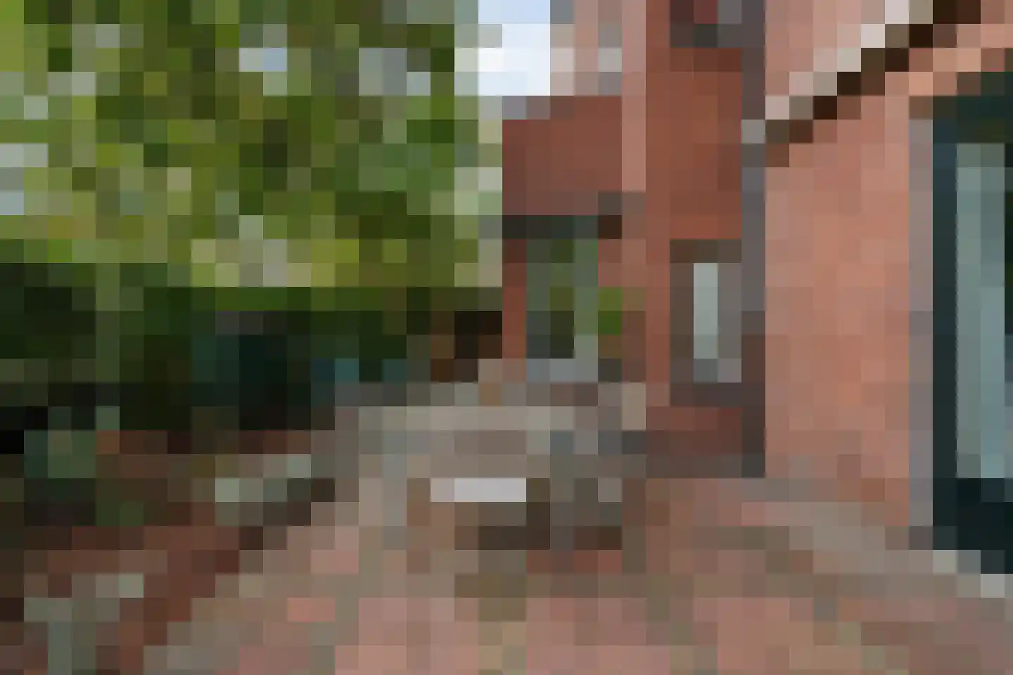 Patrijslaan 2 Den Haag thumbnail 19