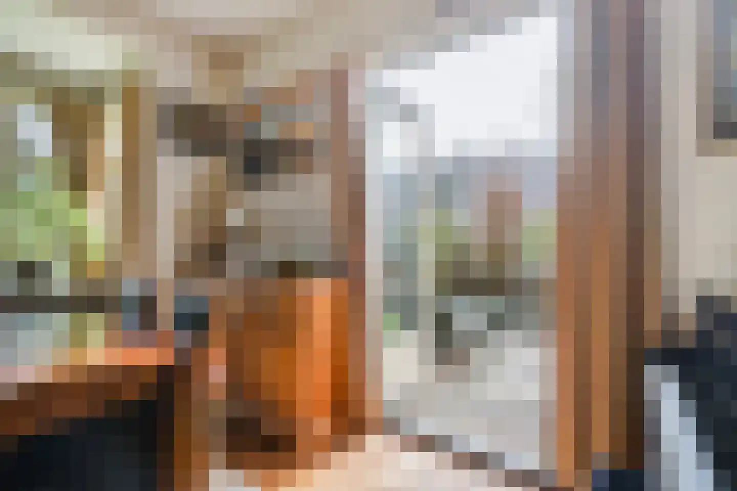 Patrijslaan 2 Den Haag thumbnail 20