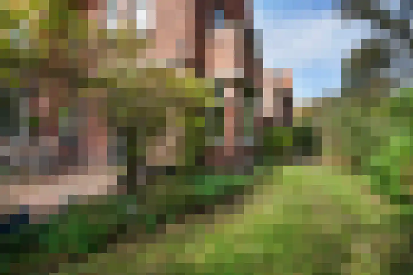 Patrijslaan 2 Den Haag thumbnail 21