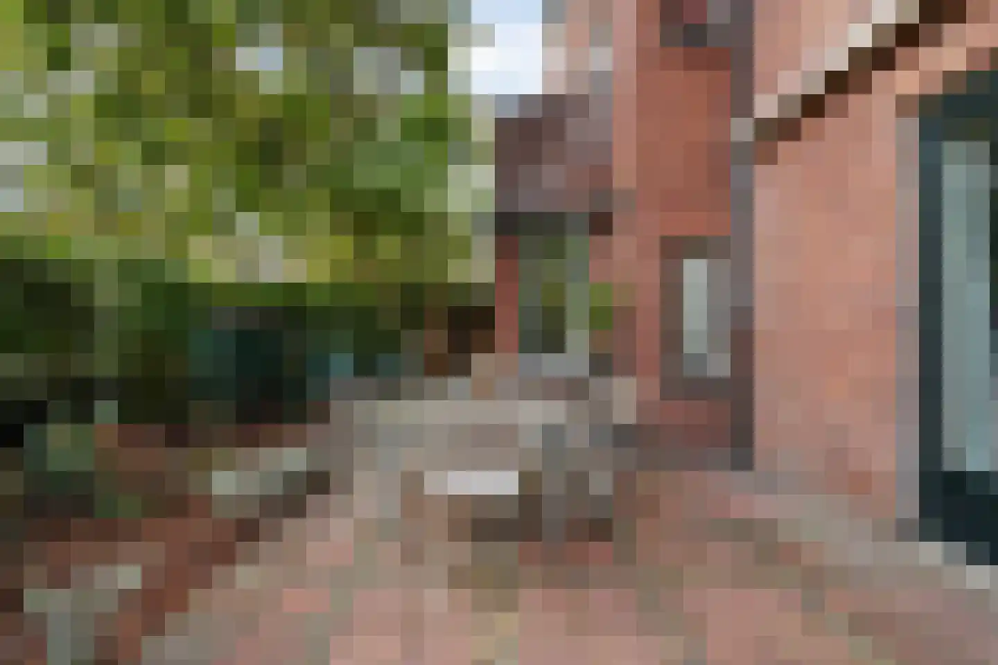 Patrijslaan 2 Den Haag thumbnail 21