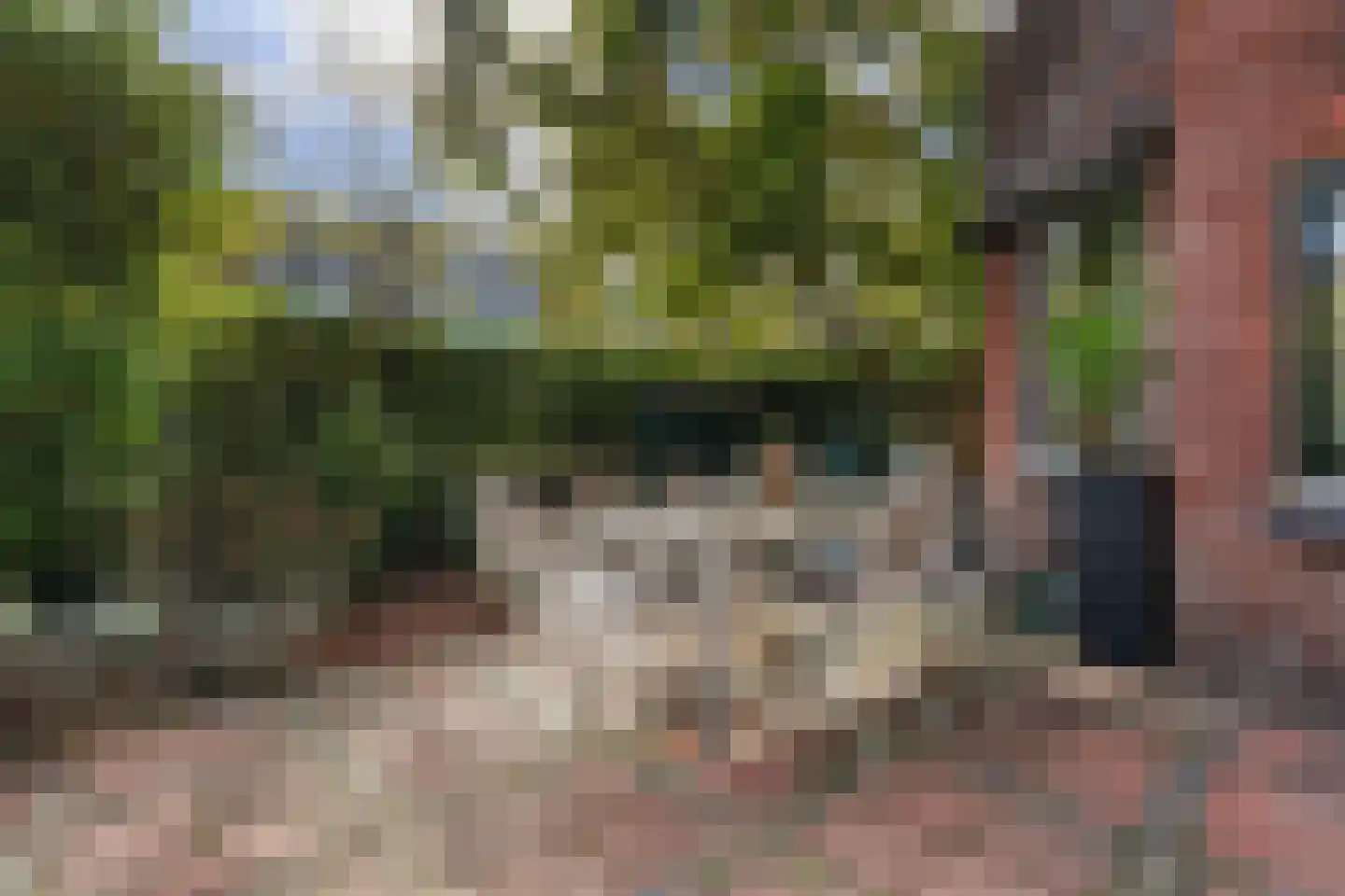 Patrijslaan 2 Den Haag thumbnail 22