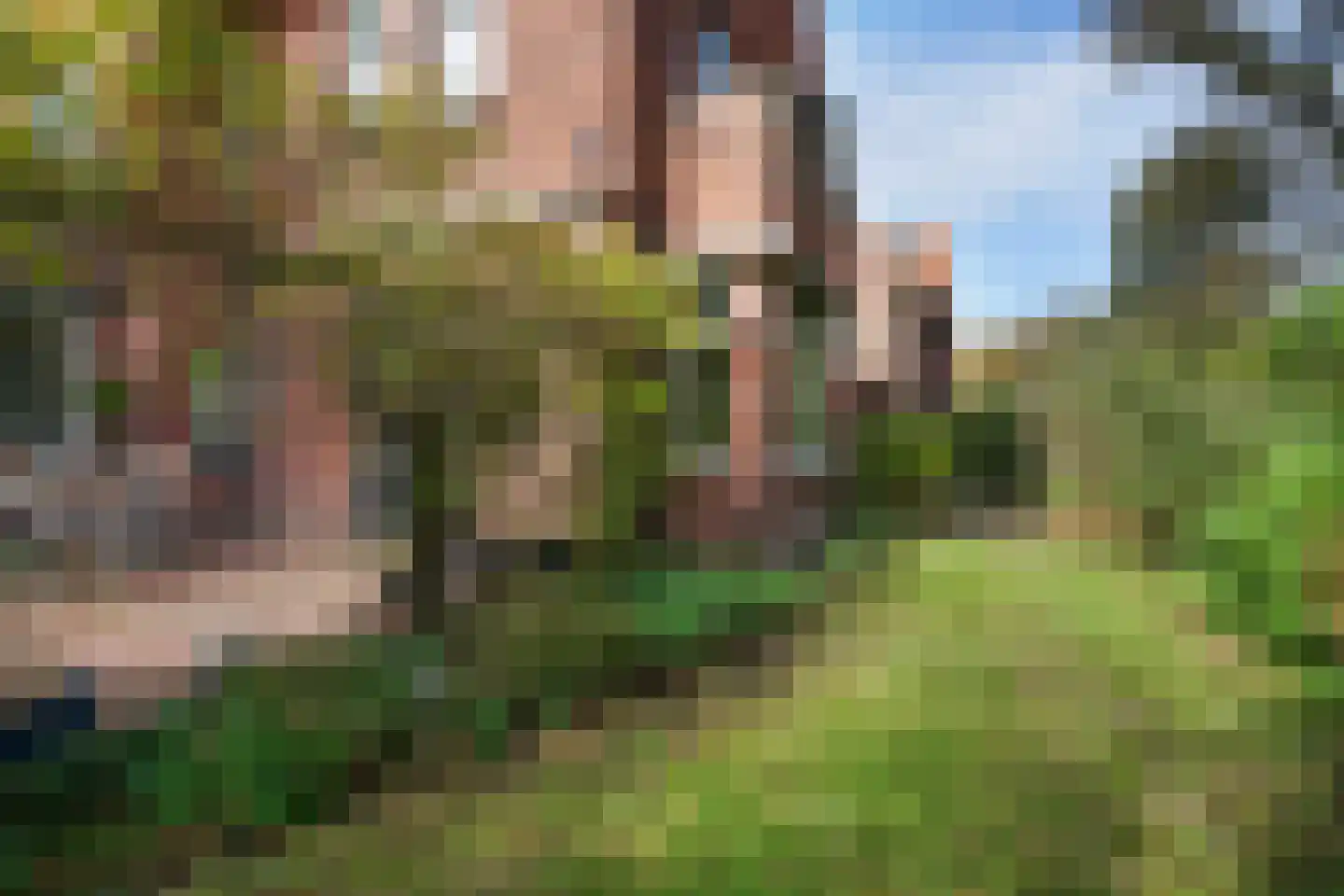 Patrijslaan 2 Den Haag thumbnail 24