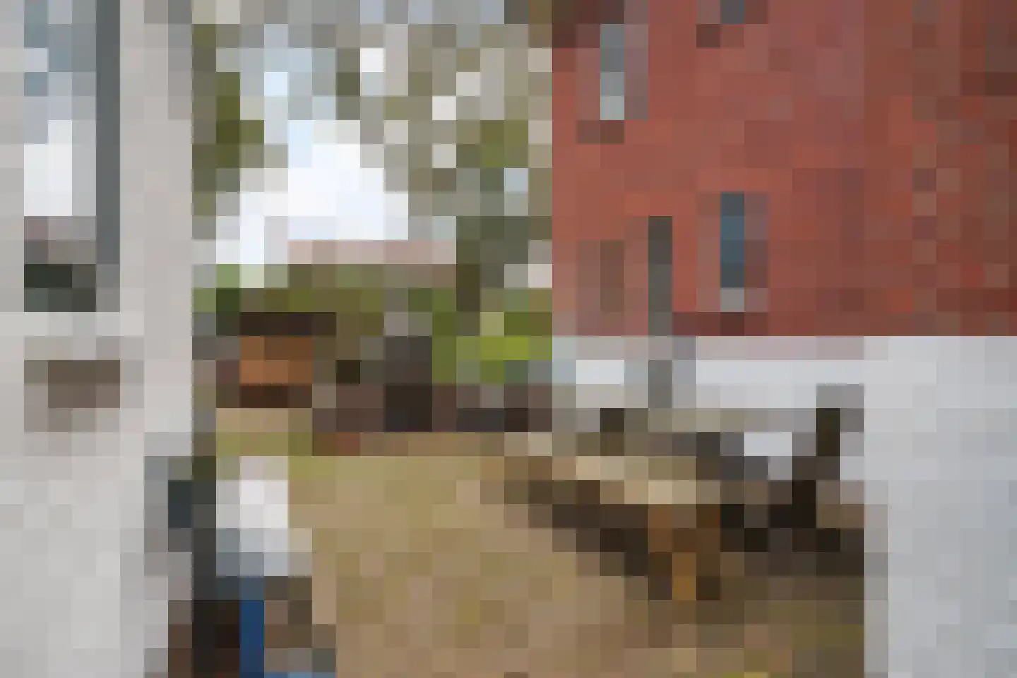 Patrijslaan 2 Den Haag thumbnail 29