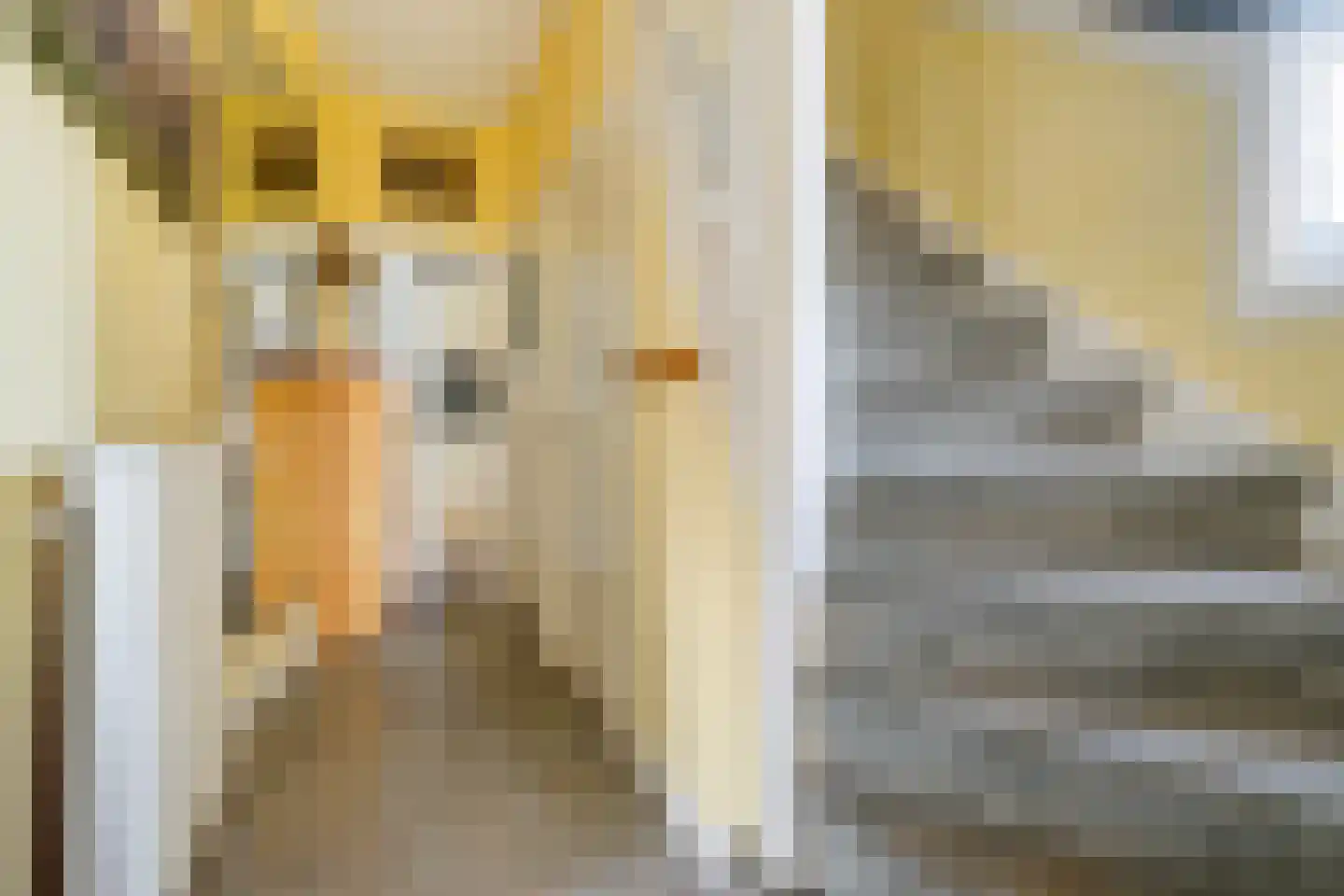 Patrijslaan 2 Den Haag thumbnail 32