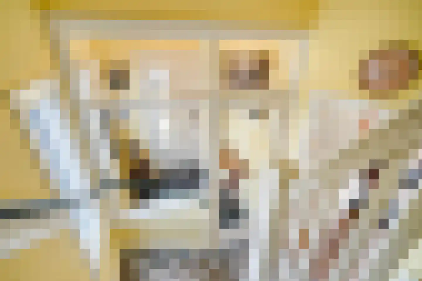 Patrijslaan 2 Den Haag thumbnail 33