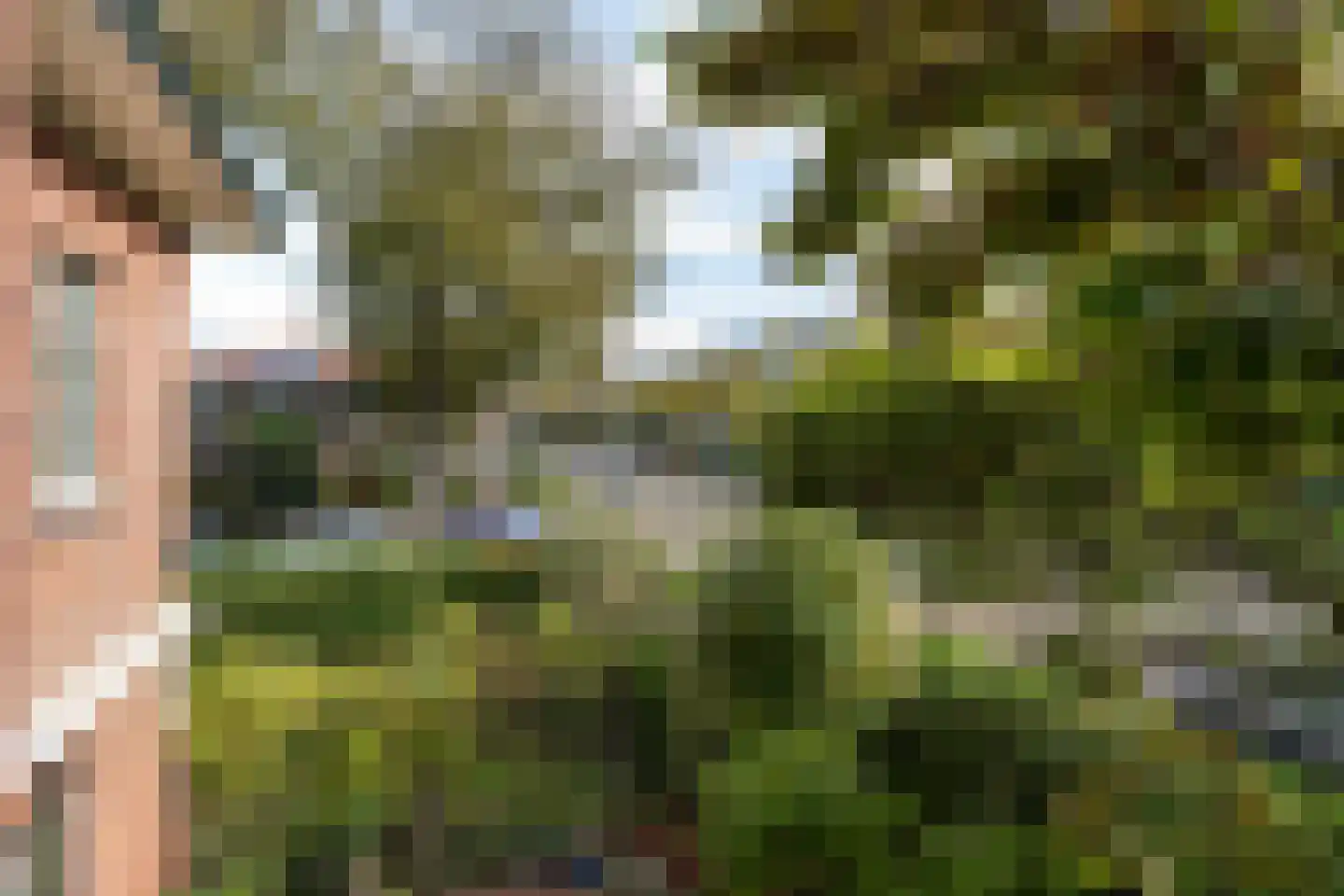 Patrijslaan 2 Den Haag thumbnail 37