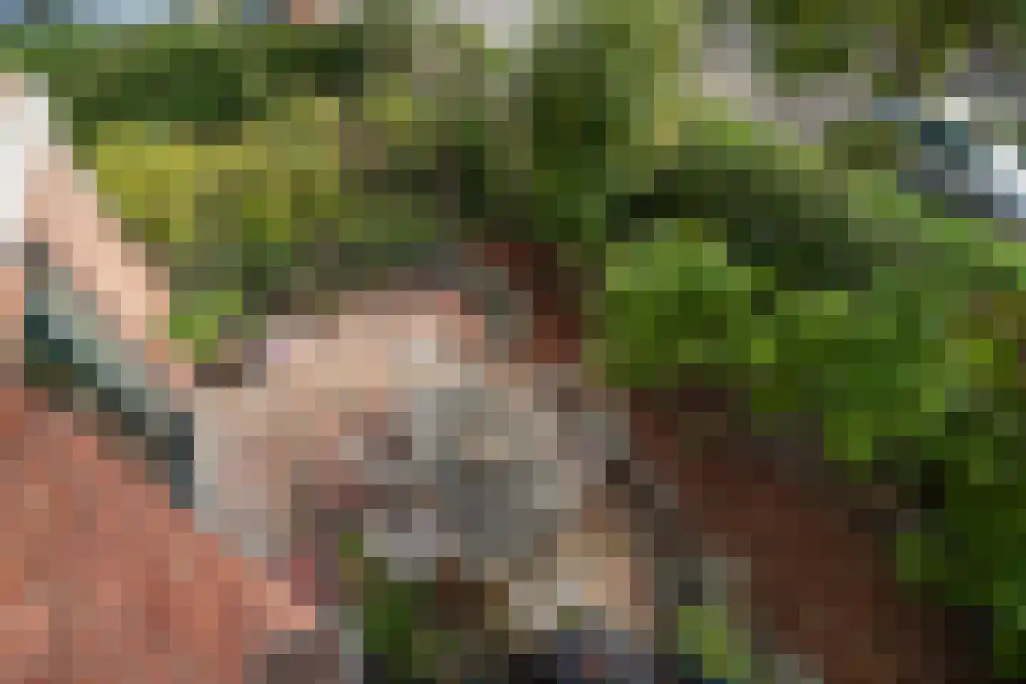 Patrijslaan 2 Den Haag thumbnail 39