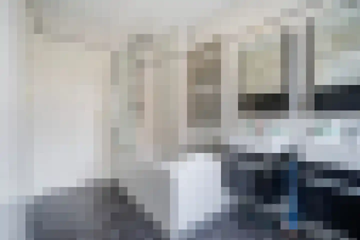 Patrijslaan 2 Den Haag thumbnail 41
