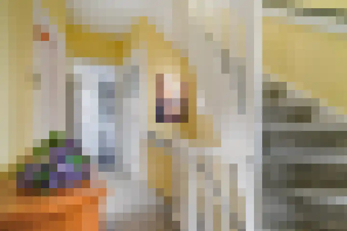 Patrijslaan 2 Den Haag thumbnail 51
