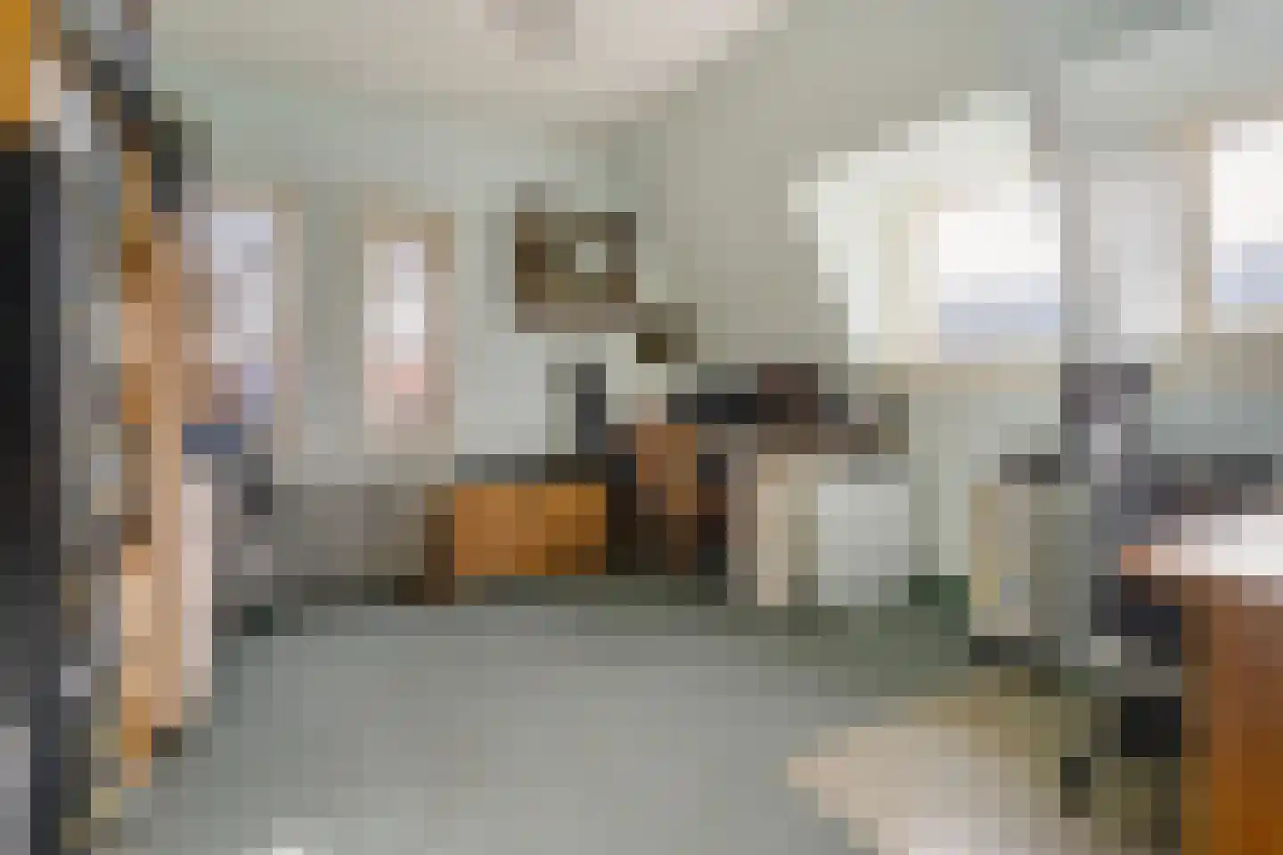 Patrijslaan 2 Den Haag thumbnail 53