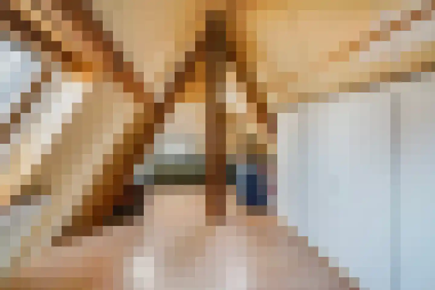 Patrijslaan 2 Den Haag thumbnail 67