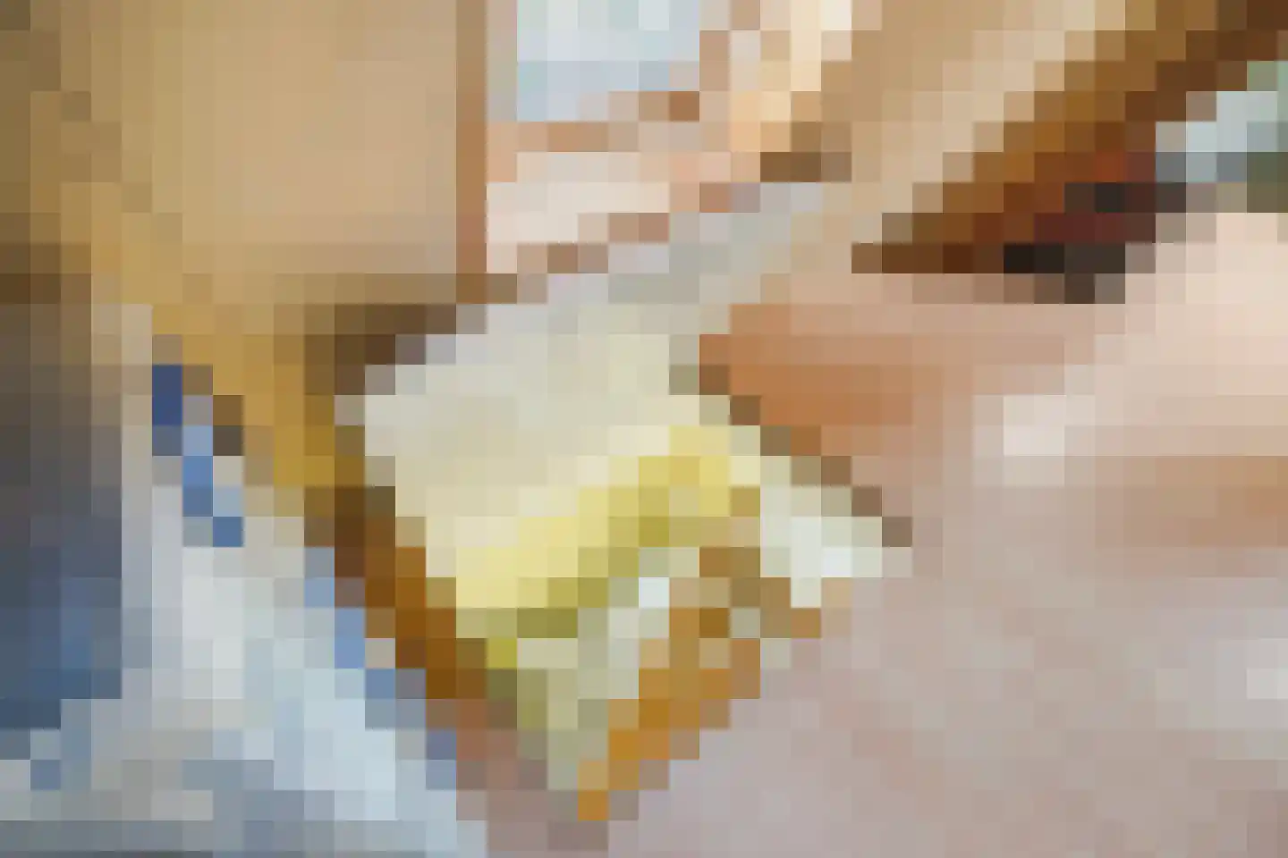 Patrijslaan 2 Den Haag thumbnail 68