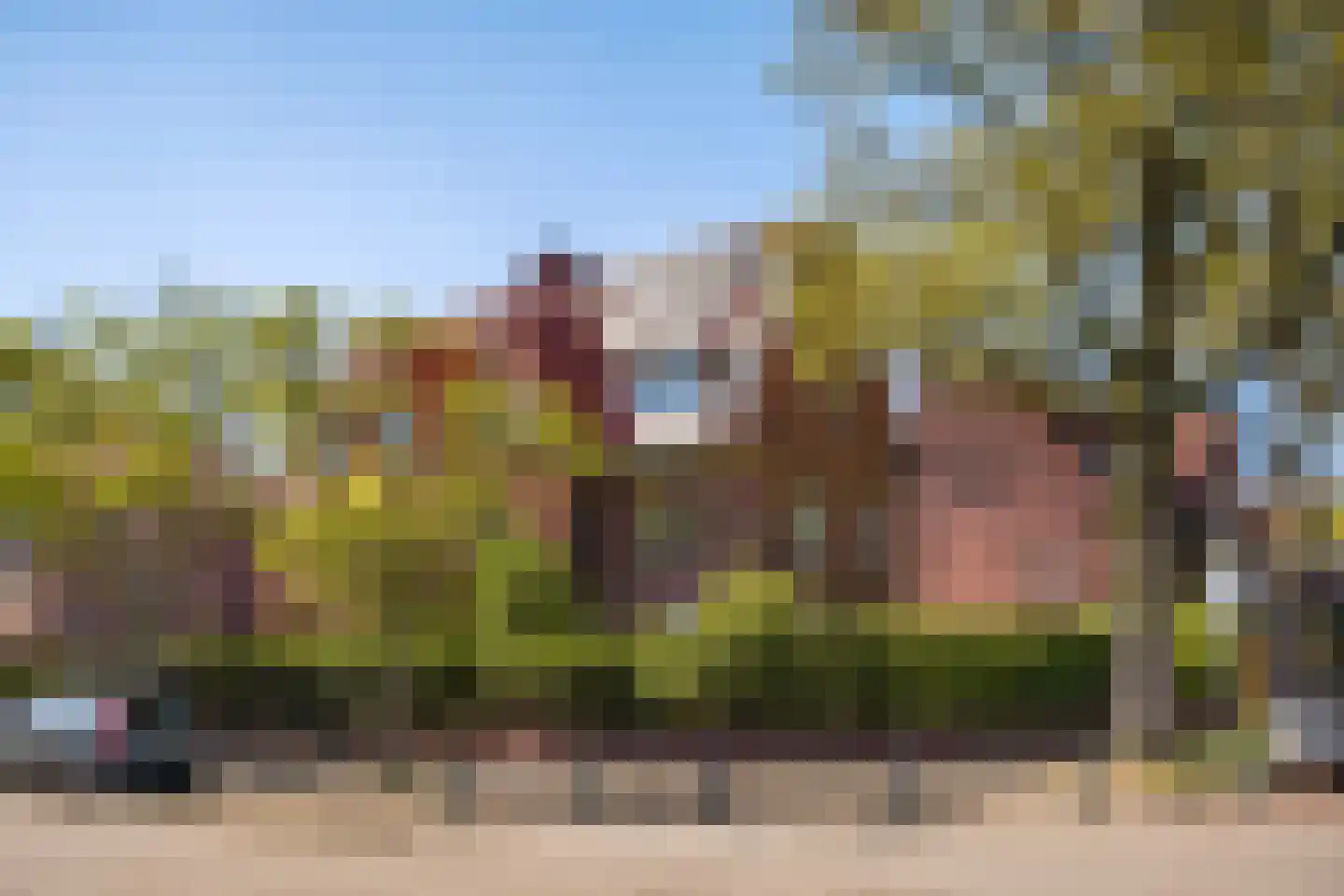 Patrijslaan 2 Den Haag thumbnail 74