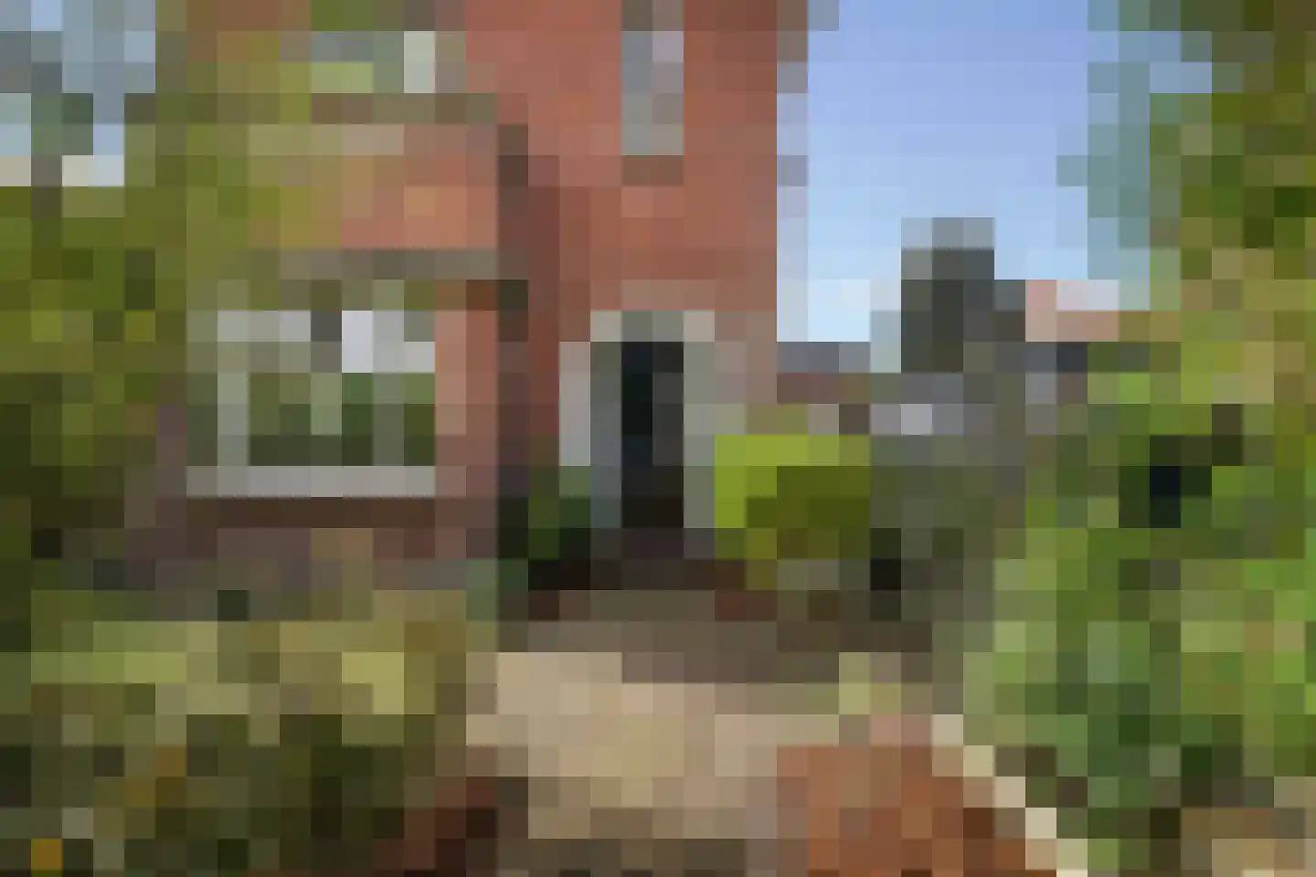 Patrijslaan 2 Den Haag thumbnail 8
