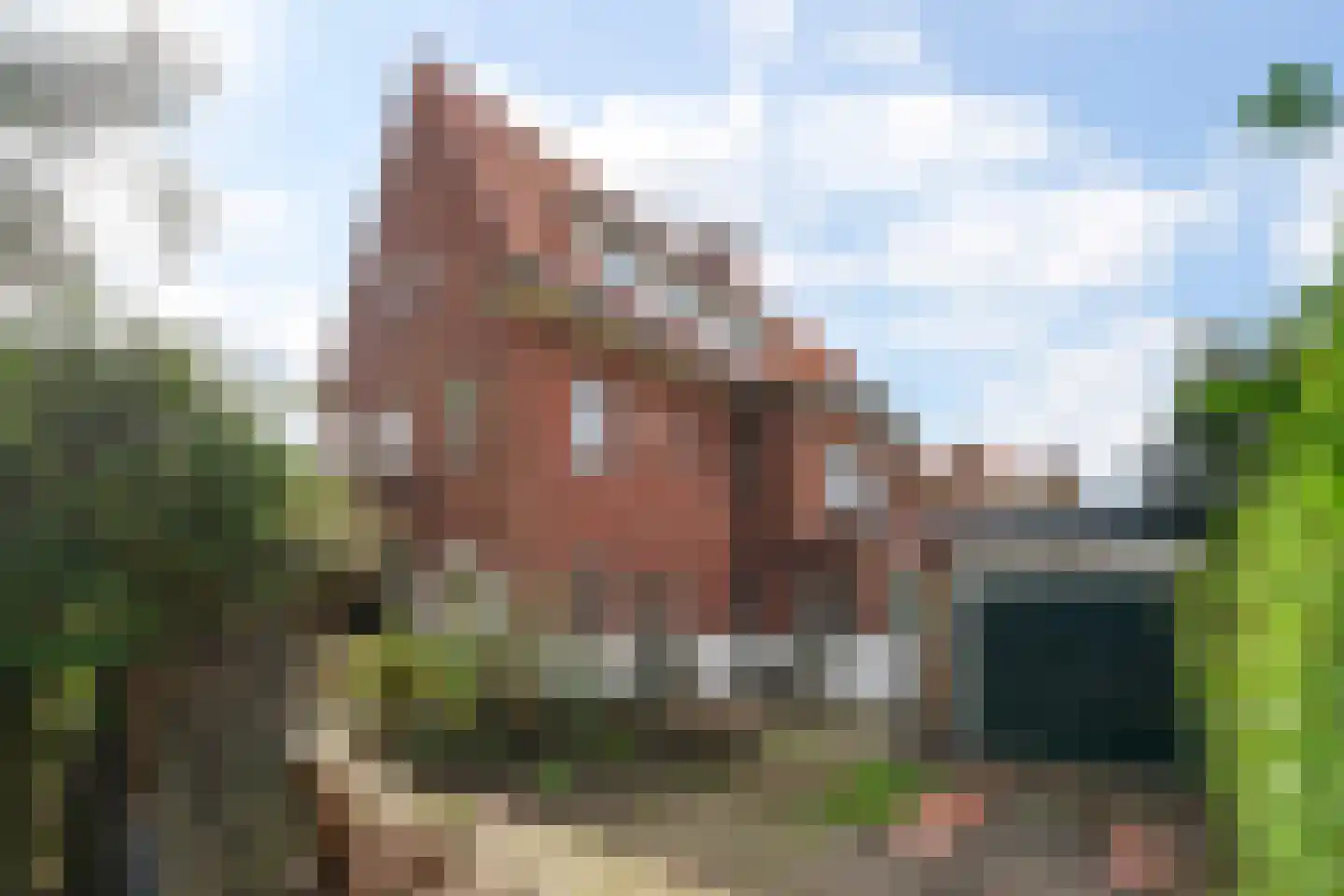 Patrijslaan 2 Den Haag thumbnail 9