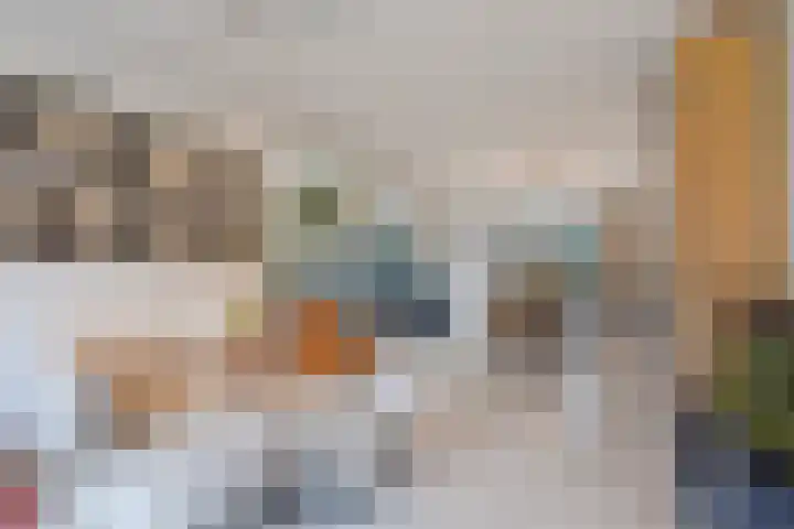 Patrijslaan 21 Den Haag thumbnail 10