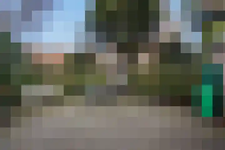 Patrijslaan 21 Den Haag thumbnail 21